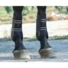 Professional's Choice Pro Mesh Show Jump Boots