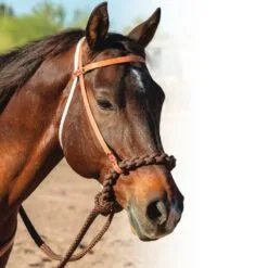 Professional's Choice Loping Hackamore