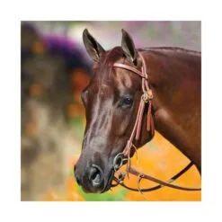 Professional's Choice Bob Avila Double Buckle Headstall W/ Double Ring Snaffle