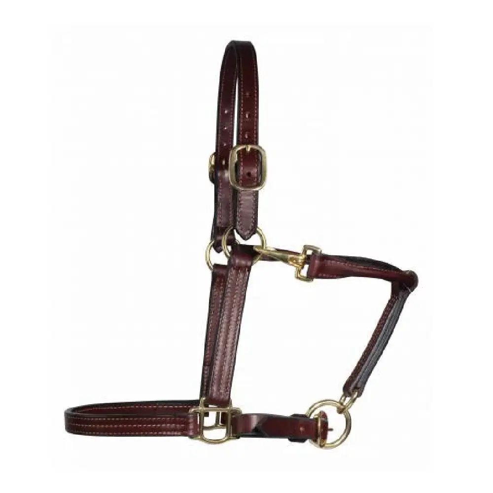 Professional's Choice Leather Cob Halter 4 Professional's Choice Leather Cob Halter - Image 2