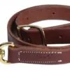 Professional's Choice Ranch Collection Oiled Tie Down