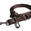 Professional's Choice Nylon 1" Tie Down Strap -Professional Choice Shop PC f7510067 aedf 44fd 8855 4c5231971679