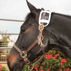 Professional's Choice Magnetic Poll Piece