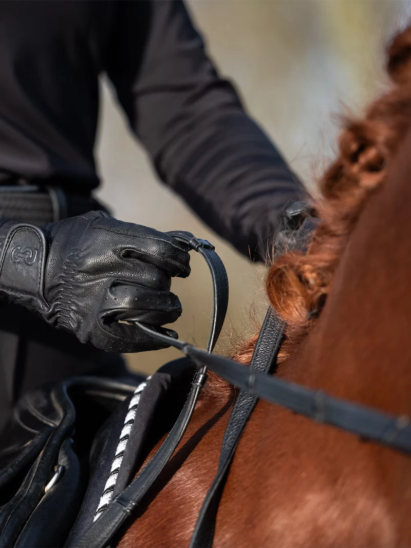 Professional Choice Shop -Professional Choice Shop equestrian glovese